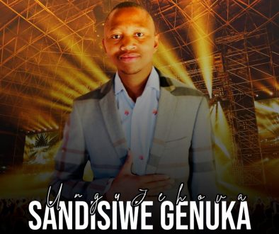 Artwork lite